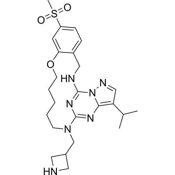 CDK2-IN-28 3025006-64-5